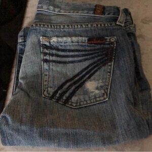 - 7 for all mankind Dojo Capri